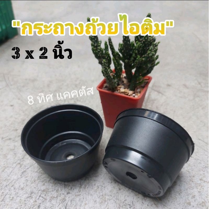 กลม ไอติม 3 นิ้ว // กด 12 ใบ 30 บาท -- กระถาง 3 นิ้ว -- กระถางพลาสติก กระถางแคคตัส กระบองเพชร