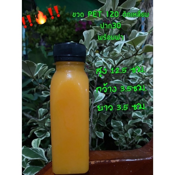 (150 ขวด)ขวด PET ทรงตัดเหลี่ยม 120ml แพ็ค พร้อมฝา
