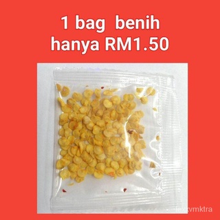 C5 Biji Benih Cili Padi 80 /- Small Chilli Pepper Seeds พริกไทยเล็กๆเมล็ด母婴/男装/向日葵/香菜/头饰/生菜/通心菜/帽子/芹菜//เมล็ด 37GJ