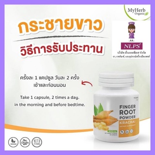 กระชายขาว ขนาด 500g จากบริษัท NLPS