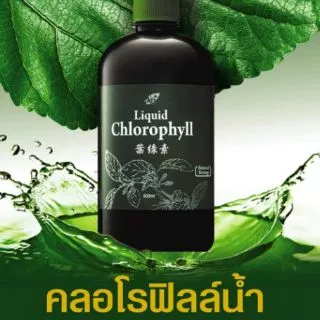 น้ำคลอโรฟิลล์​เข้มข้น ​คอสเวย์ ทานง่าย​​ -​ ​ Liquid​ Chlorophyll​ 500​ ​มล.​​ จากใบมัลเบอร์รี่​