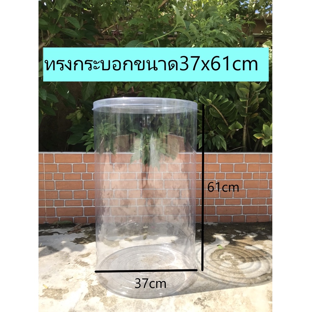 #กล่องอบต้นไม้ #กล่องใส #กระถางใส #กระบอกใส #กล่องพลาสติก
