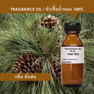 PINE TREE FRAGRANCE OIL - หัวเชื้อน้ำหอม กลิ่นต้นสน เข้มข้นสูง ติดทนนาน