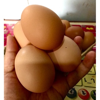 ไข่ไก่สด ออแกนิค(6ฟอง)เบอร์2 ราคา59บาททานดิบได้ไม่คาว