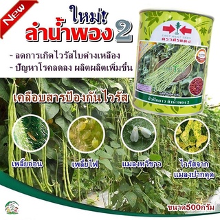 ใหม่! เมล็ดถั่วฝักยาว ลำน้ำพอง2 ขนาด500กรัม เมล็ดเคลือบ ตราศรแดง เมล็ดพันธุ์ถั่วฝักยาว ถั่วฝักยาว ถั่วฝักยาวลำน้ำพอง2