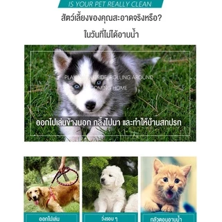 SKISOPGO ถุงมือสัตว์เลี้ยงแบบใช้แล้วทิ้ง ดับกลิ่น ดูแลผิวสุนัขและแมว ถุงมือทำความสะอาดระงับกลิ่นกายสำหรับแมวและสุนัข 6pc