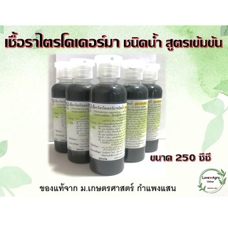 เชื้อราไตรโคเดอร์มาแบบน้ำ สูตรเข้มข้น พร้อมใช้งาน ของแท้จาก ม.เกษตร กำแพงแสน ขนาด 250 มิลลิลิตร