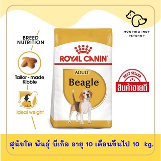 2290.- ขนาด 12 กก. รอยัลคานิน Royal Canin Beagle Adult  บีเกิ้ล อายุ 10 เดือนขึ้นไป