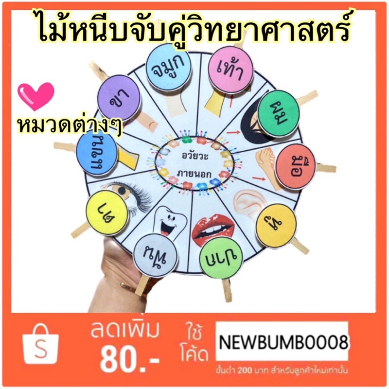 สื่อการสอน สื่อการสอนทำมือ ไม้หนีบจับคู่วิทยาศาสตร์ - Bumbimzz - Thaipick