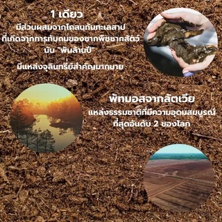 พีทมอส Peatmoss (1ลิตร, 3ลิตร) พีทมอสทำดินปลูกและแบบเพาะเมล็ด นำเข้าจากลัตเวีย