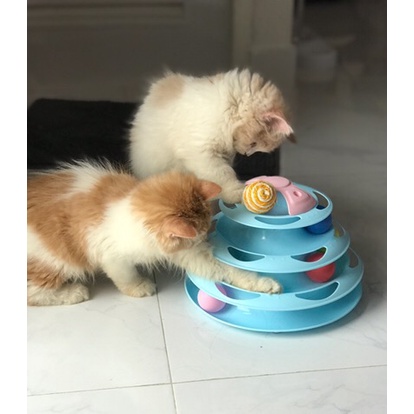🌵 รางบอลแมว4ชั้น ของเล่นแมว รางบอลแมว จานเสียงแมว ด้วยขนนก สามารถหมุนได้ 360 องศา 🌵 - รูปที่ 6