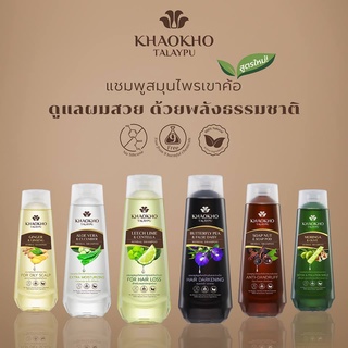 เขาค้อทะเลภู แชมพูและครีมนวดผมสมุนไพร ขวดใหญ่ 330ml - KHAOKHO TALAYPU Herbal Shampoo &amp; Conditioner 330ml (Organic)