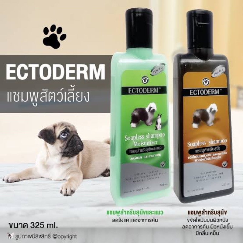 ectoderm แชมพู สุนัขและแมว 325ml