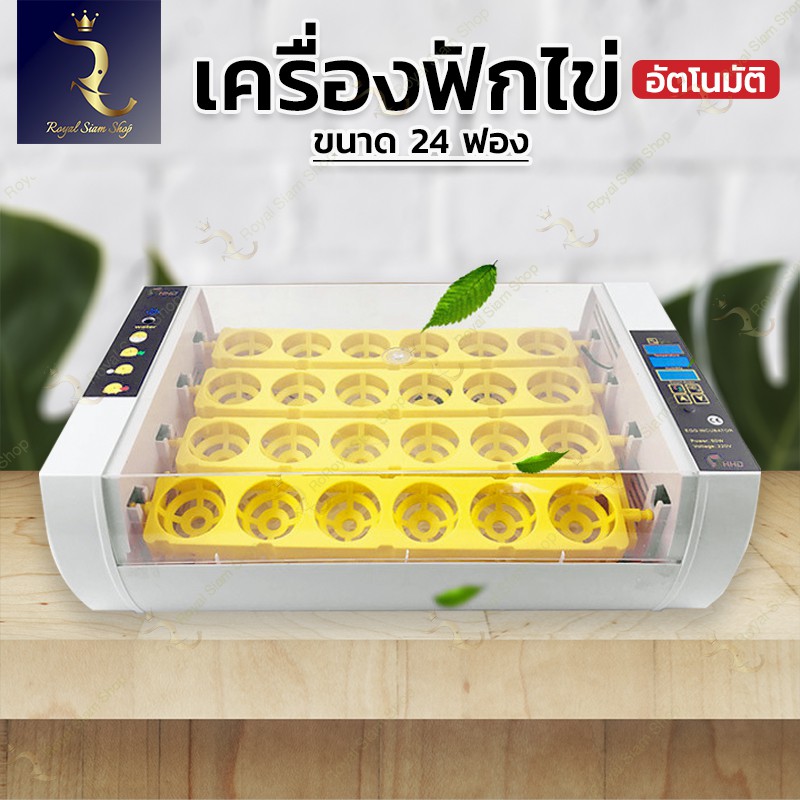 เครื่องฟักไข่ อัตโนมัติ 24ฟอง CD10 อัตราการฟักสำเร็จถึง98% ใช้งงานง่าย