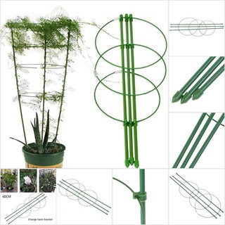 Hsth โครงไม้เลื้อย เถาวัลย์ 60 ซม. สําหรับปลูกต้นไม้ ดอกไม้