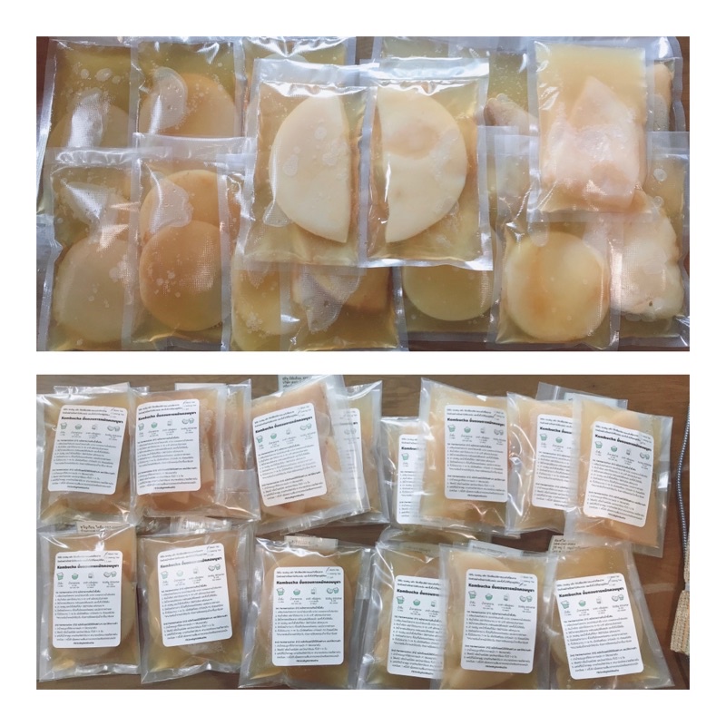 น้ำตั้งต้น สำหรับหมัก Jun และ Kombucha Scoby พร้อมคำแนะนำวิธีการหมัก