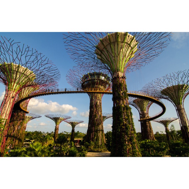 ลดๆ OCBC Skyway Singapore ใบสุดท้าย