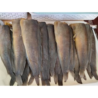 ปลาดุกร้า ปลาดุก ทะเลน้อยพัทลุง สด สะอาด อร่อย แพคละ 3-4 ตัว (หนัก 300-400g ตามขนาดตัวปลา)