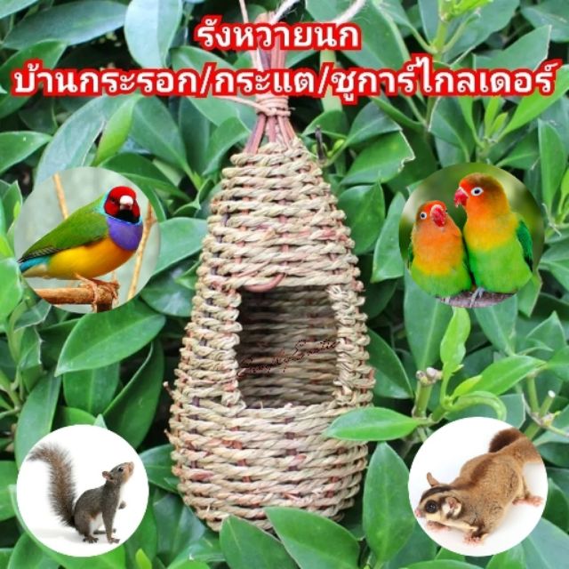 บ้านนก รังนก บ้านกระรอก บ้านกระแต บ้านชูการ์ไกลเดอร์ รังหวาย รังหวายนก รังกระรอก (บ้านนกธรรมชาติ)