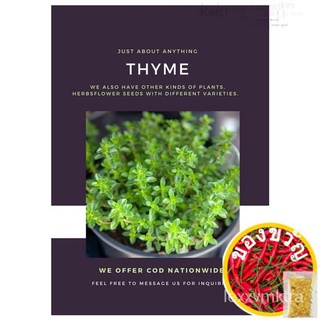 Thyme Seeds for Planting (10 seeds per pack)芹菜/玫瑰/儿童/男装/通心菜/文胸/母婴/种子/帽子/内裤/ IGUA