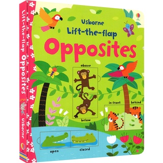 Usborne Lift-the-flap : Opposites