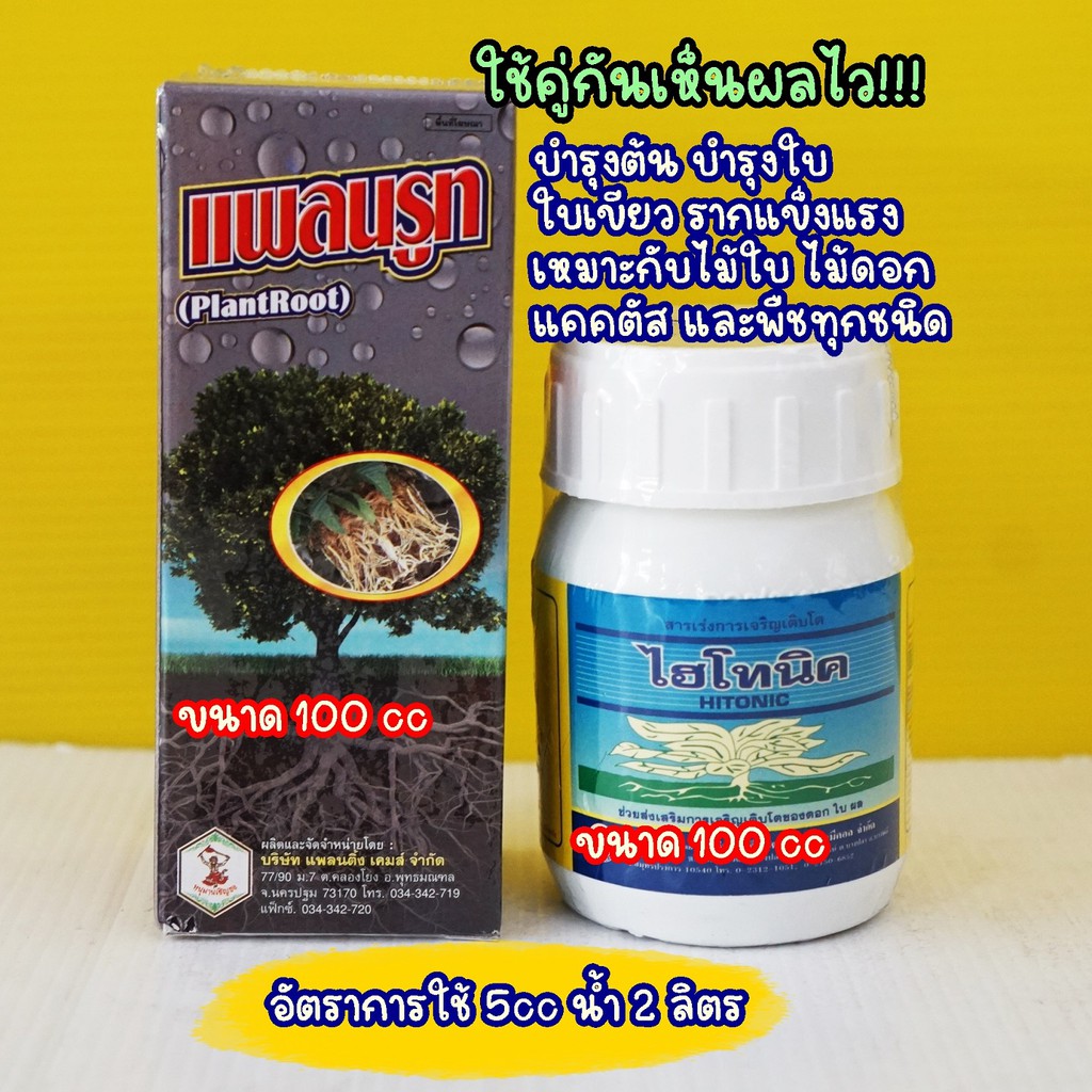 ไฮโทนิค #อโทนิค 100cc  สารกระตุ้นการกินอาหารของพืช ขั้วเหนียว ขยายผล สร้างอาหาร #ซันโทนิค ราคา ถูกที่สุด ดีลบีเคเค แกลเลอรีภาพที่ 4