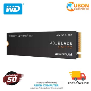 WD BLACK SN770 250GB M.2 2280 SSD (เอสเอสดี) (WDS250G3X0E)