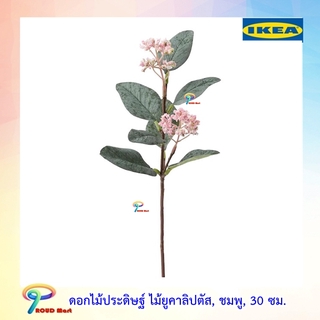 IKEA ต้นไม้ปลอม ไม้ประดิษฐ์ ไม้ยูคาลิปตัส, ชมพู, 30 ซม.