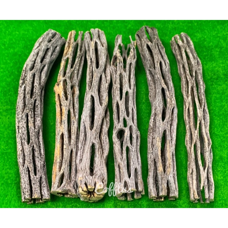 1 ชิ้น Cholla wood แกน กระบองเพชร คอลล่าวู้ด คัดลายสวย จากอเมริกา อาหารธรรมชาติของกุ้ง ไม่เป็นอันตราย ที่หลบภัย บ้านกุ้ง