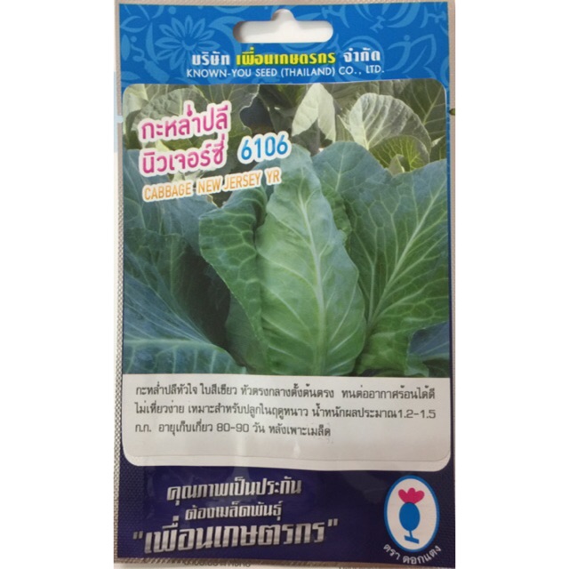 เมล็ดกะหล่ำปลีหัวใจ (CABBAGE) นิวเจอร์ซี่ ทนร้อนได้ดี ไม่เหี่ยวง่าย ทรงต้นใหญ่ จากญี่ปุ่น น้ำหนัก 1.2-1.5 กก.