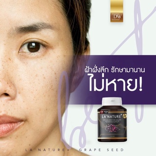 สารสกัดจากเมล็ดองุ่นGrapeSeedExtraxt