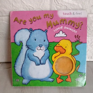 Are you my mommy  ? Little duckling(board book)