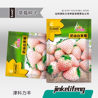 [200เมล็ด] เมล็ดสตรอเบอร์รี่ขาว สตรอเบอร์รี่ญี่ปุ่น เมล็ดสตรอเบอร์รี่ ขาว เมล็ด สตรอเบอรี่สีขาว White Strawberry Seeds