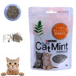 กัญชาแมวชนิดแห้งเกรดพรีเมี่ยม (Cat Mint Natural Organic Premium) ผงแคทนิป กัญชาแมว ขนาด 5 กรัม