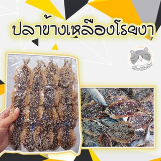 ปลาข้างเหลืองงา ปลางา ปลาข้างเหลืองโรยงา รสชาติอร่อย ปลาหวาน