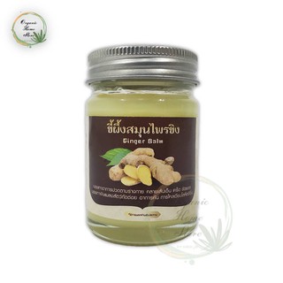 ขี้ผึ้งสมุนไพรขิง Ginger Balm ขนาดบรรจุ 60 กรัม