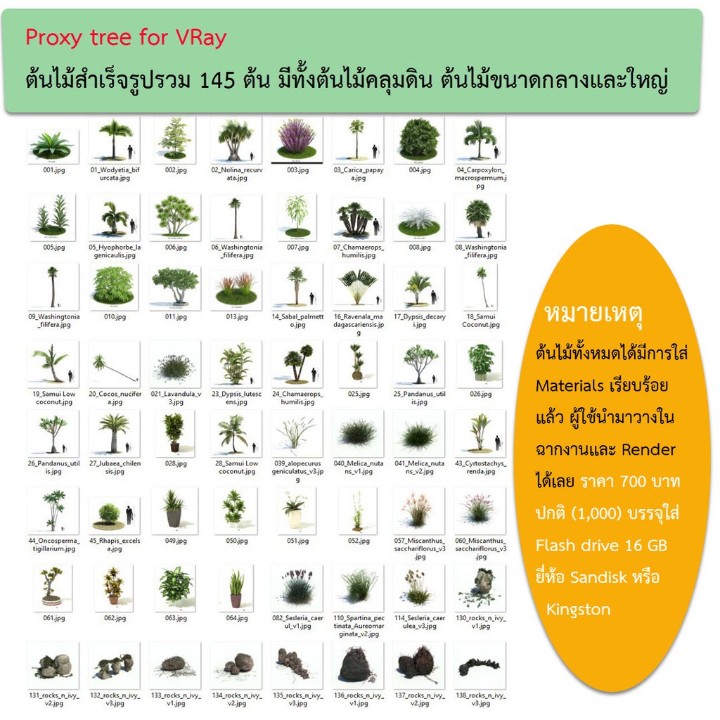 Proxy VRay ต้นไม้สำเร็จรูปสำหรับวีเรย์