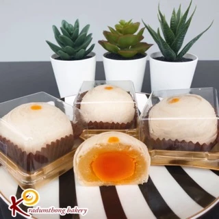 E1 ขนมเปี๊ยะไส้ถั่วไข่เค็มเต็มฟอง