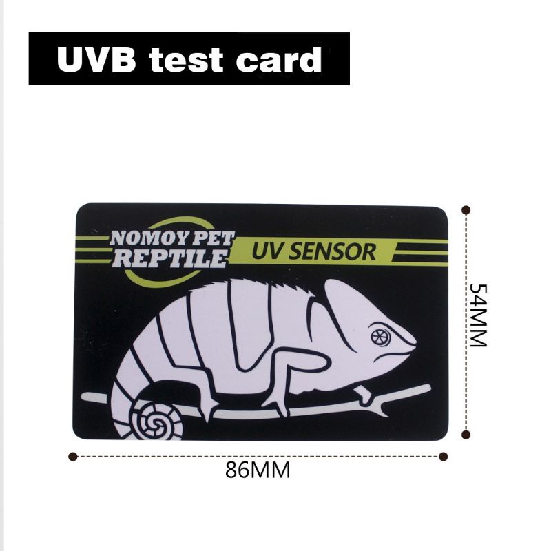 รูปภาพ 4