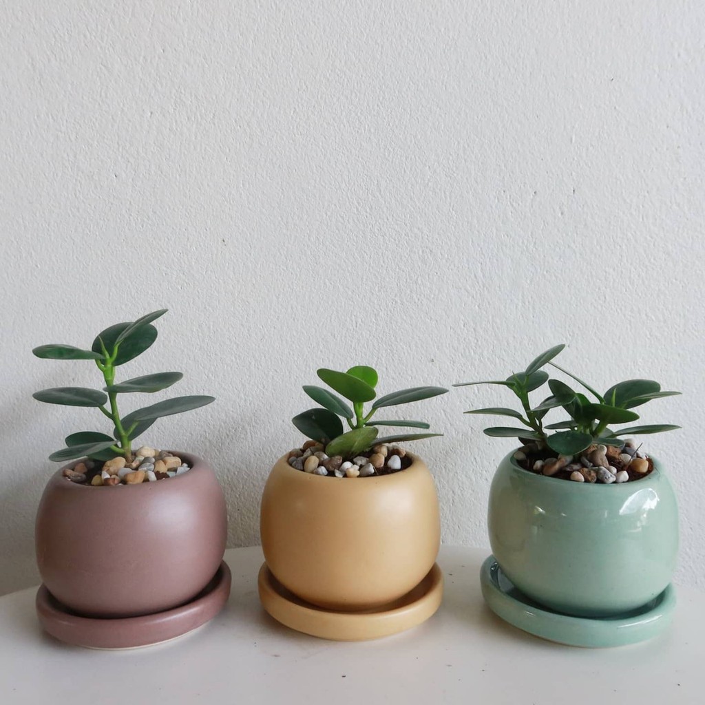 มุมมอง 2