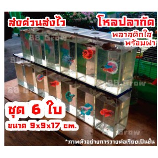 โหลปลากัด โหลเลี้ยงปลากัด  ชุด6ใบ โหลปลาพลาสติกใสพร้อมฝา ตู้ปลากัด เรียงต่อซ้อนเป็นชั้นได้ ขนาด9x9x17cm