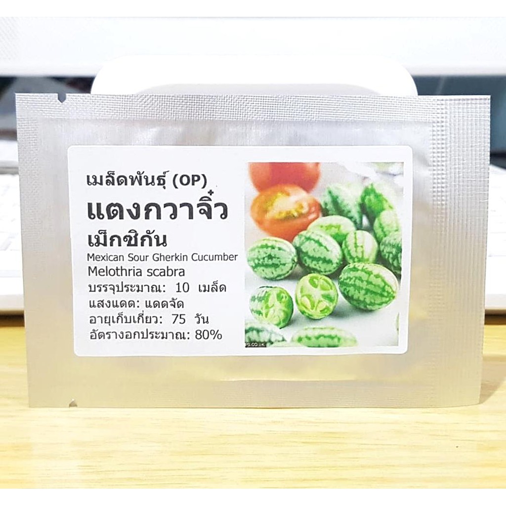 แตงกวาจิ๋ว เม็กซิกัน - Mexican sour gherkin