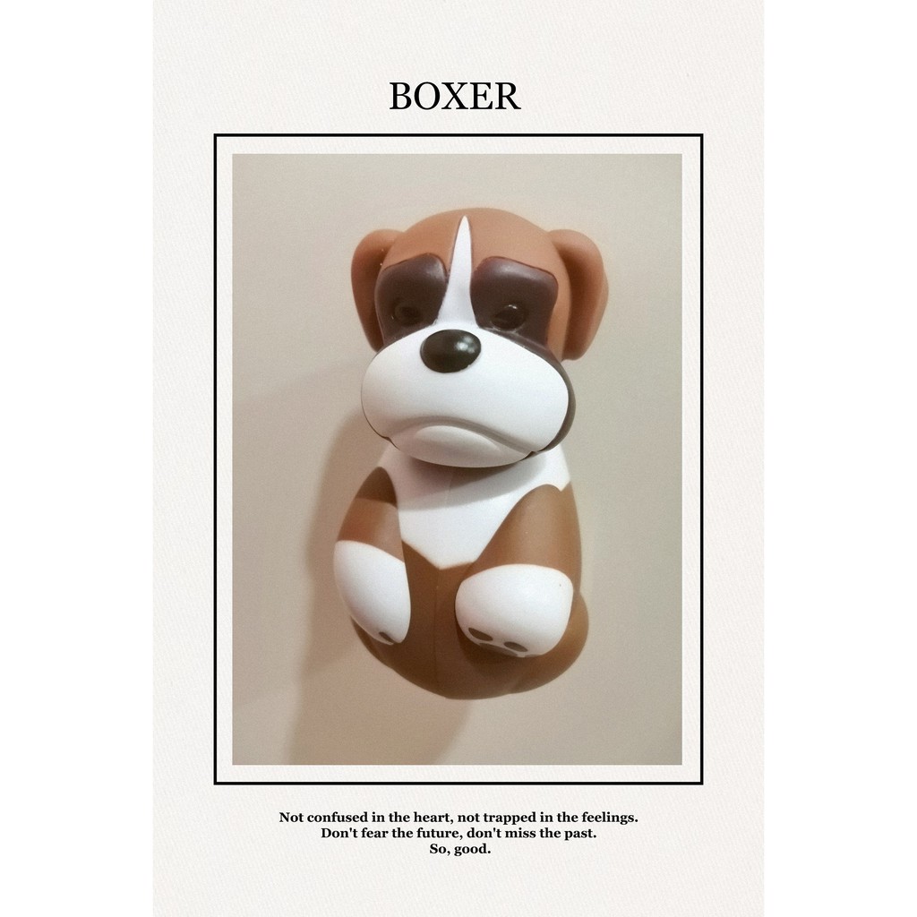 ที่ใส่แปรงสีฟัน Flipper ( Animal Series)