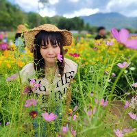 Profile NoName