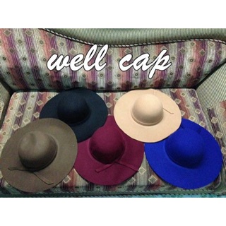 หมวกปีกกว้างWell cap