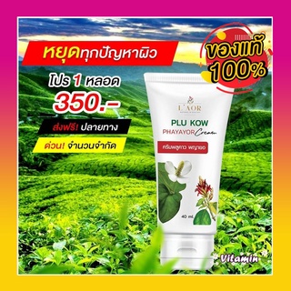 แท้100% พร้อมส่ง พลูคาว พญายอ Plu Kow Phayayor กลาก เกลื้อน สะเก็ดเงิน น้ำเหลืองเสีย ผื่นคัน เหงือกปลาหมอ น้ำมันมะพร้าว