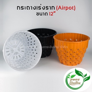 [โค๊ดส่วนลด 60 บาท]Airpot กระถางปลูกสายเขียว ขนาด 12นิ้ว พร้อมจานรอง เกษตรเงินล้าน