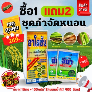 🌾 ชุดกำจัดหนอน (ฮาโลซัน 1 ลิตร+จีม่า 100กรัมx2) ซื้อ1แถม2