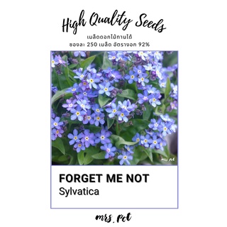 เมล็ดดอกไม้กินได้ ฟอเก็ตมีนอท Forget Me Not (Sylvatica)