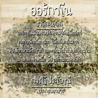 เมล็ดพันธุ์ ออริกาโน 500 เมล็ด Oregano เมล็ดพันธุ์แท้ นำเข้าจากต่างประเทศ พืชผัก สวนครัว ปลูกง่าย โตไว